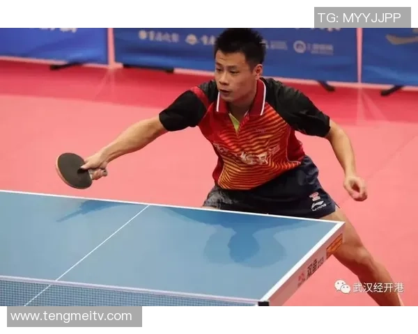 武汉乒乓球队在最新耐力排行榜中稳居TOP10之首引发关注
