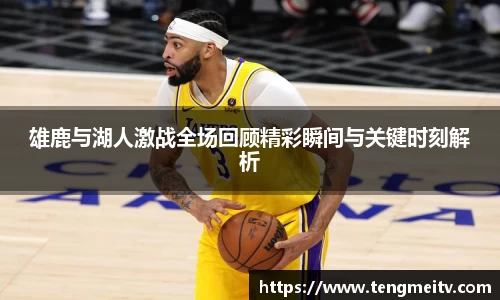 关键词4